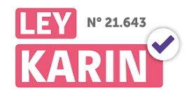 🛑 Curso: Ley Karin 21.643: Acoso laboral, acoso sexual y violencia en el trabajo. Abordaje en las Organizaciones