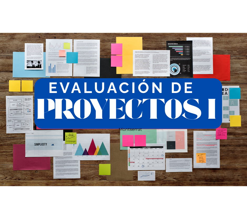 📈 Evaluación de Proyectos I